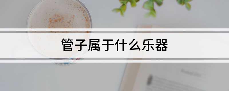 管开云官方网址子属于什么乐器